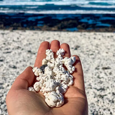 Casa Danimar 2-4 People With Pool And Barbecue Apartment